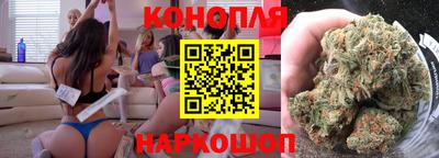 шишки Гай