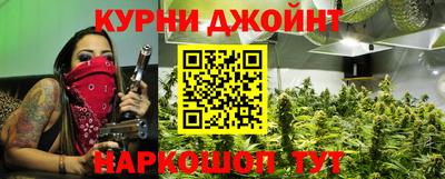 шишки Гай