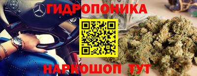 меф Гатчина