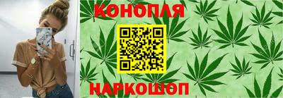 меф Гатчина