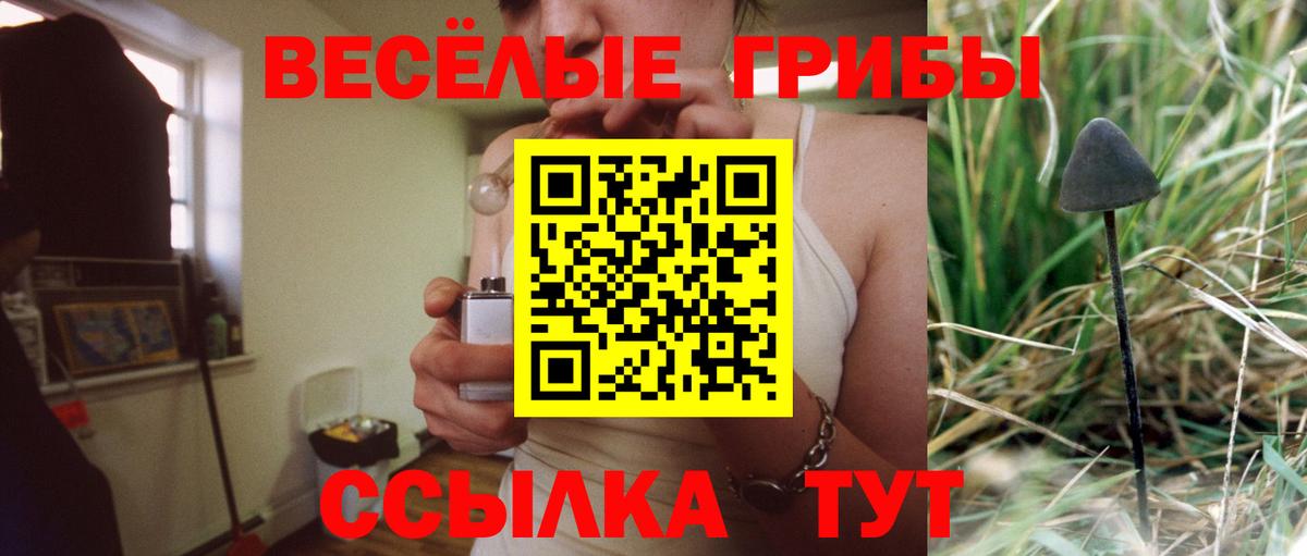 Псилоцибиновые грибы прущие грибы  Гусиноозёрск 