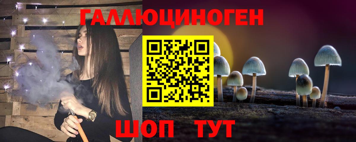 Галлюциногенные грибы прущие грибы Гусиноозёрск